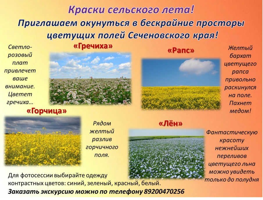 Краски сельского лета! Приглашаем окунуться в бескрайние просторы цветущих полей Сеченовского края!